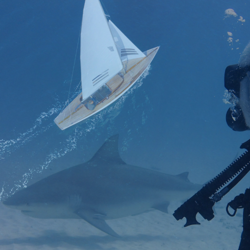 partner für tauchreisenanbieter und segelcharter