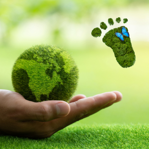 verantwortung für unsere erde reisen neu denken