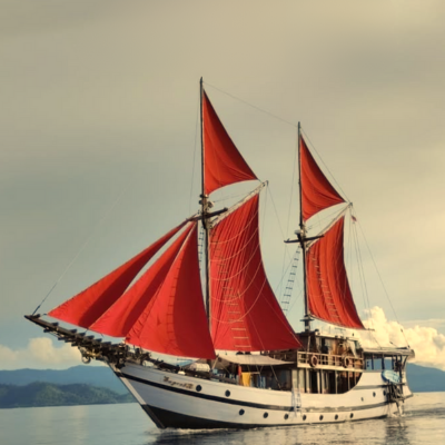 Segelkreuzfahrten, Cruises, Liveaboard